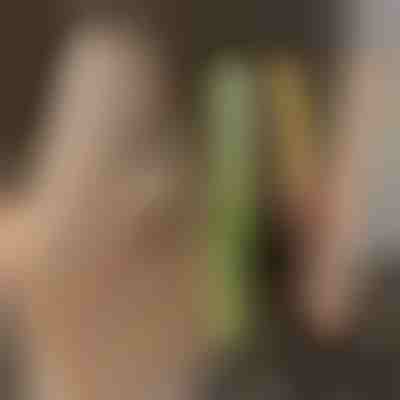 Lisseur et fer à friser TWISTLINE