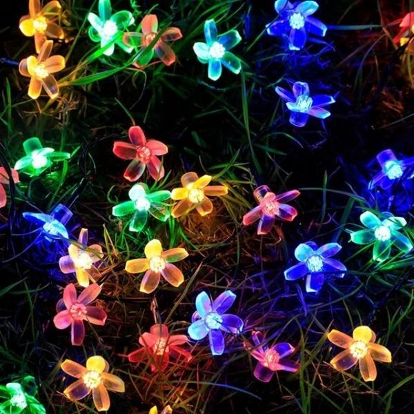 DAISYGLOW